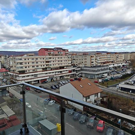 Park Lake Near Iulius Mall, Wi-Fi, Walk-In Showe Cluj-Napoca Buitenkant foto